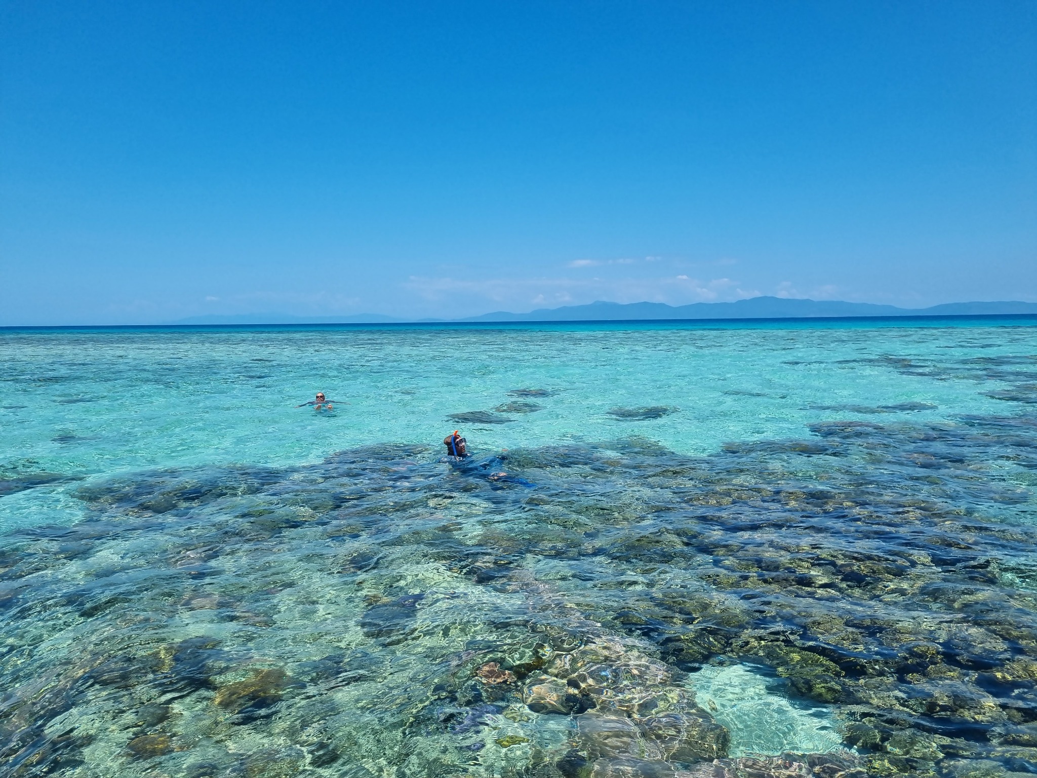 What becomes visible — The Great Barrier Reef. Looking carefully changes what can be noticed, valued and understood.